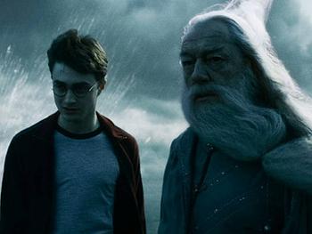 harry 12.jpg